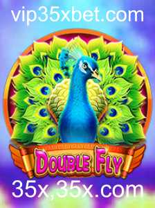 Descubra o Fascinante Mundo de DoubleFly: Regras e Estratégias
